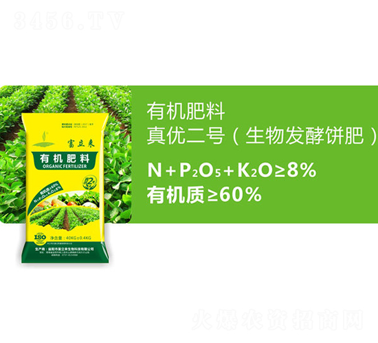 ����l(f��)���-�惞(y��u)��̖(h��o)-������