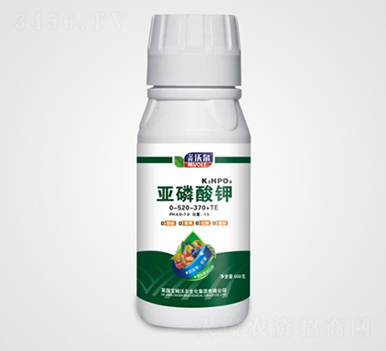 �������0-520-370+TE-��ķ�֠�