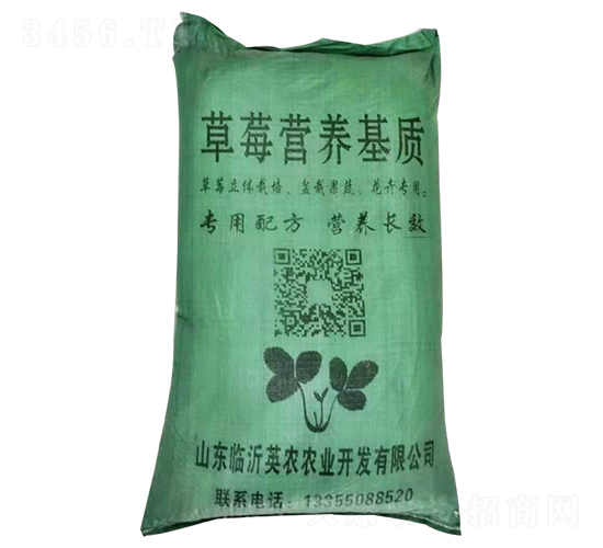 ��ݮ�I�B(y��ng)���|(zh��)-Ӣ�r(n��ng)�r(n��ng)�I(y��)