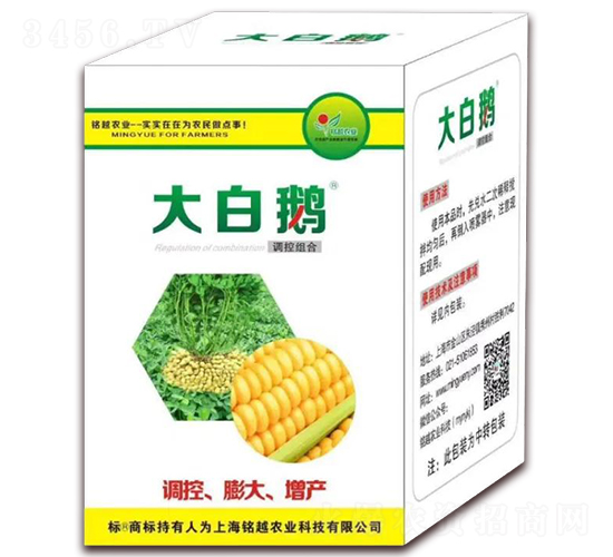 �{�ؽM�ϣ�������{�ء����a��-����Z-�Խ