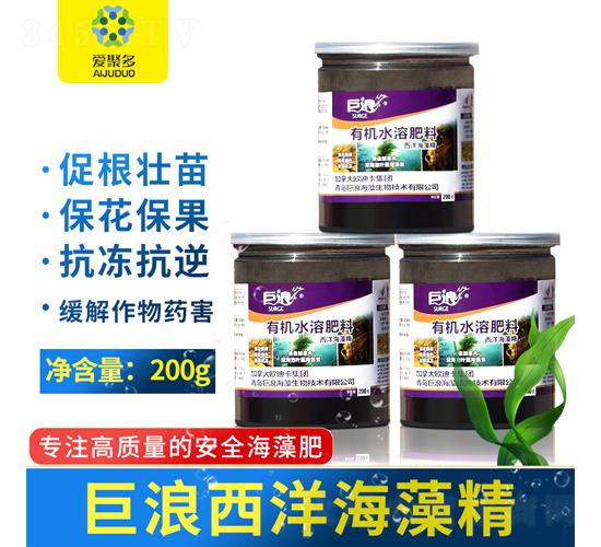 �����徫-����-�۾۶�