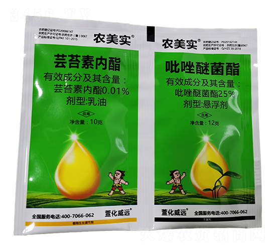 �|̦�؃�(n��i)��+�����Ѿ���-�r(n��ng)����(sh��)-�滯���h(yu��n)