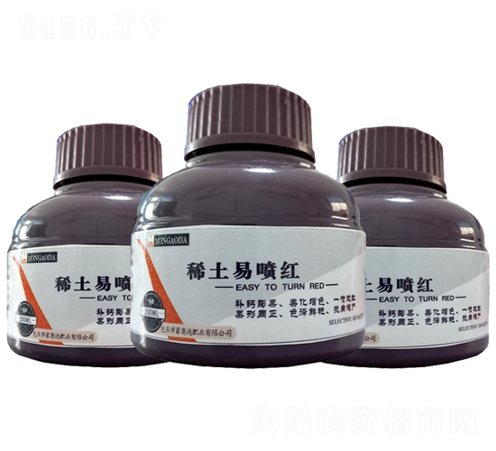 �����ׇ��t-�ɊW�_