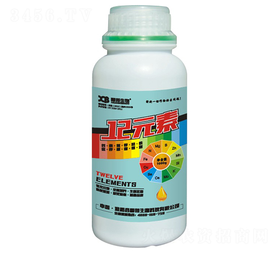 12Ԫ��-�ذ�����