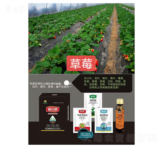 死苗爛根組合套餐（草莓專(zhuān)用）-迪法路-糧滿噸