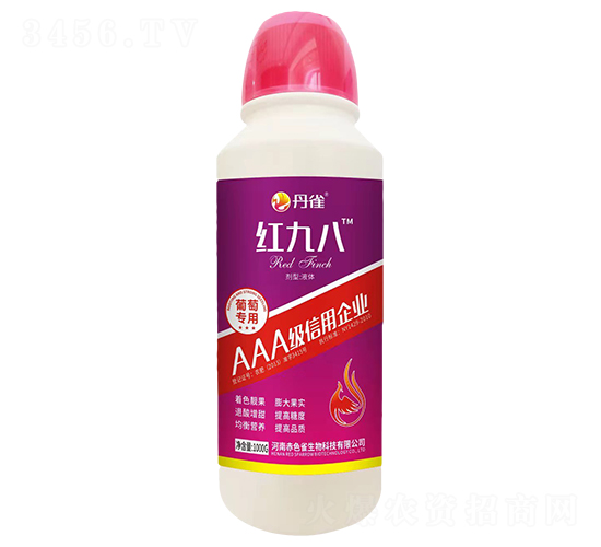 ���ь����~���-�t�Ű�-��ȸ