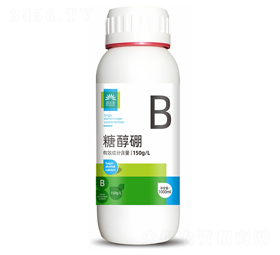 �Ǵ���-�֠���