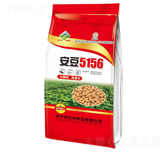 6kg安豆5156-大豆種子-億豐種業(yè)