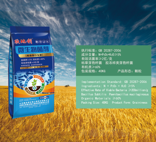 ΢�������-������-��������