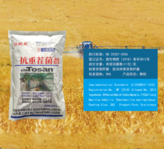 ���ز����-������-��������