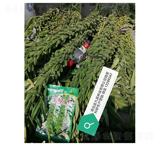 ����֥һ̖֥��N�ӌ����D