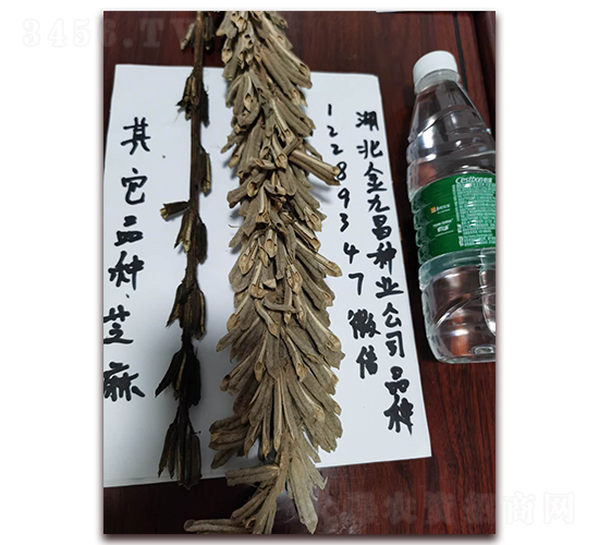 ��Ų�֥��N�ӌ�(sh��)���D