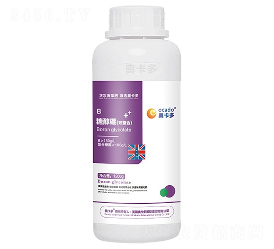 �Ǵ����p���ϣ�-�W����