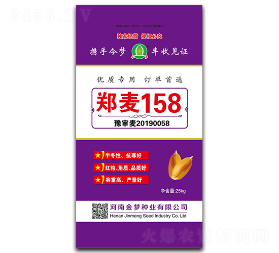 鄭麥158-小麥種子（25kg）-金夢種業(yè)