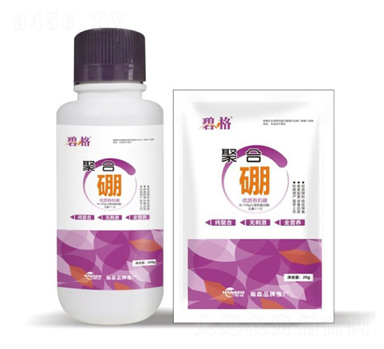 ������-�̸�-�ɭ����