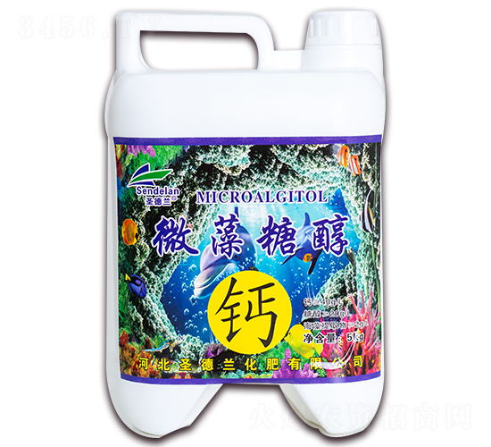 5kg΢���Ǵ��}-ʥ���m