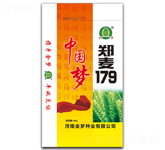 鄭麥179-小麥種子-金夢種業(yè)