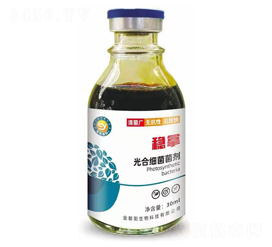 ��ϼ�������-��(w��n)��-��ɫ���