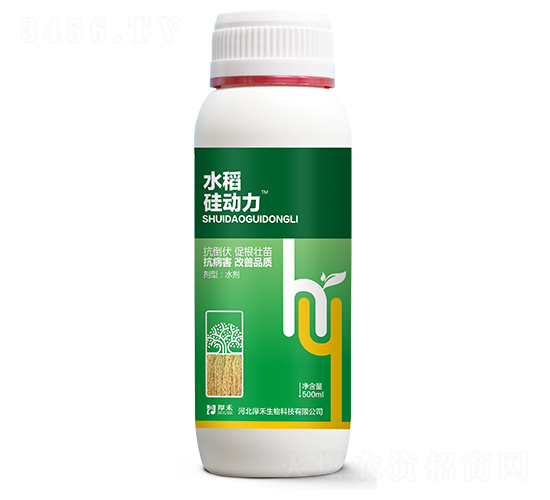 水稻硅動(dòng)力-厚禾生物