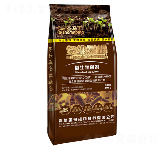 ΢�������-��S����-ʥ�R��