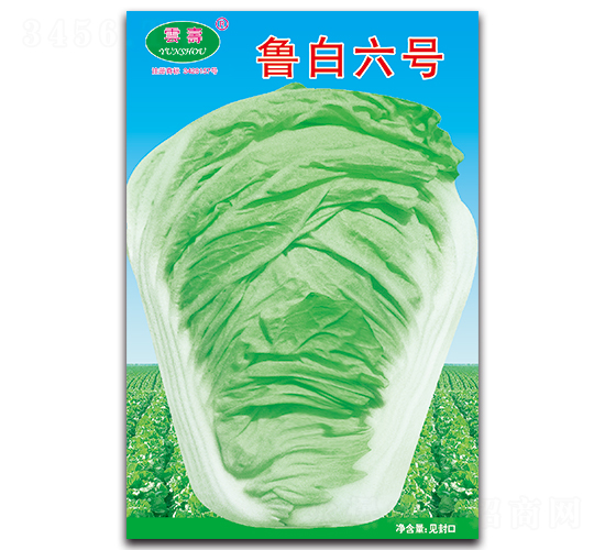 ������̖(h��o)-�ײ˷N��-�Ɖ�