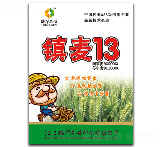 鎮(zhèn)麥13-小麥種子-瑞華農(nóng)業(yè)