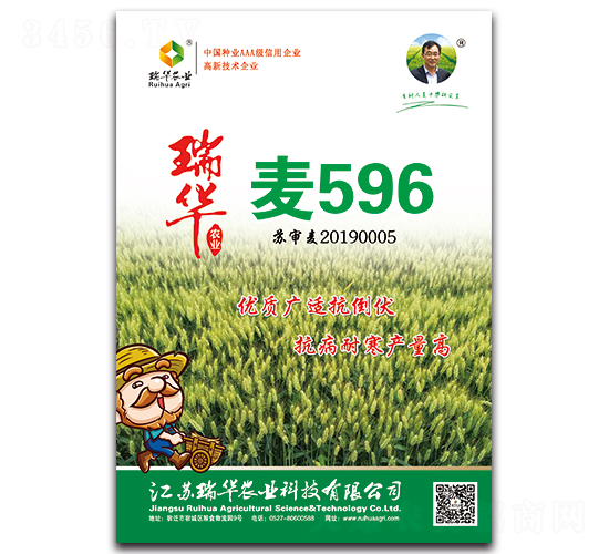 瑞華麥596-小麥種子-瑞華農(nóng)業(yè)