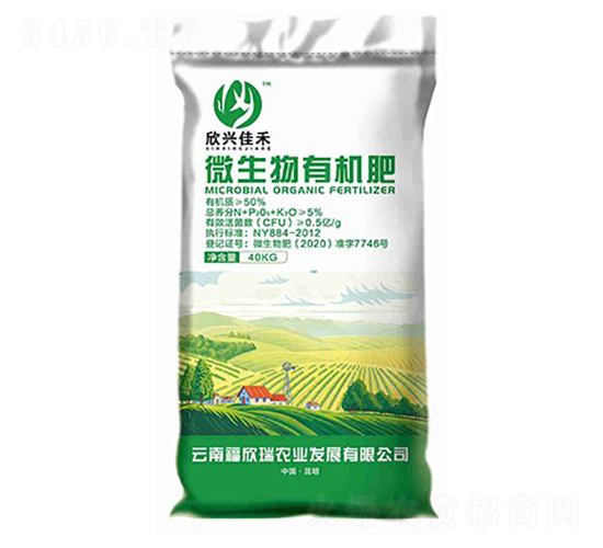 ΢�����ЙC��-���d�Ѻ�-������