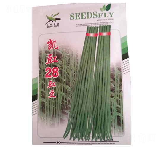 �P��28-���ǷN��-����N�I(y��)