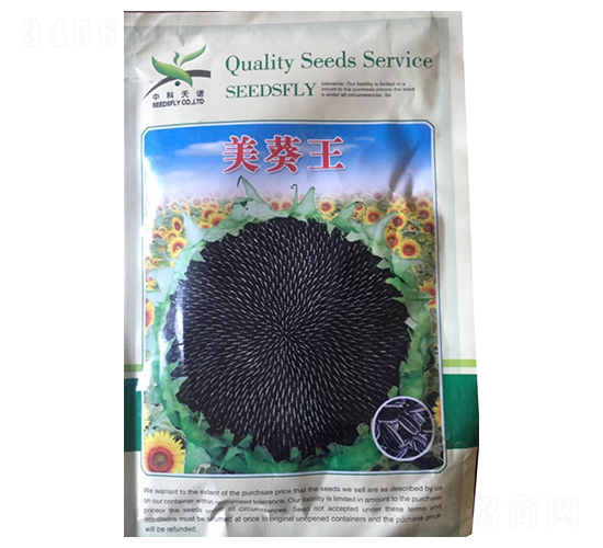 ������-���տ��N��-����N�I(y��)