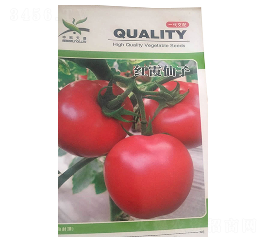 �tϼ����-���ѷN��-����N�I(y��)