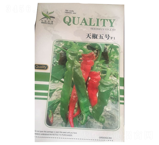 天椒五號(hào)F1-辣椒種子-酒玉種業(yè)