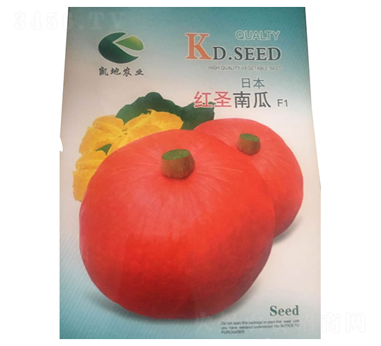 �ձ��tʥ�Ϲ�-�ϹϷN��-����N�I(y��)