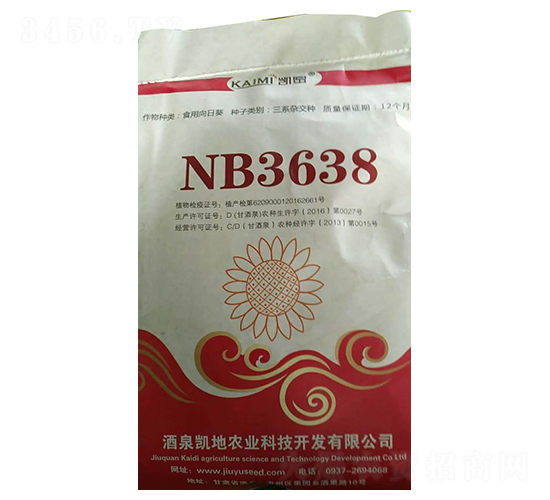 NB3638���տ��N��-����N�I(y��)