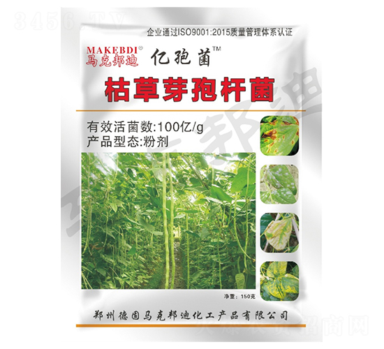 ���ǌ��ÿݲ�ѿ�ߗU��-�|�߾�-�R�˰��