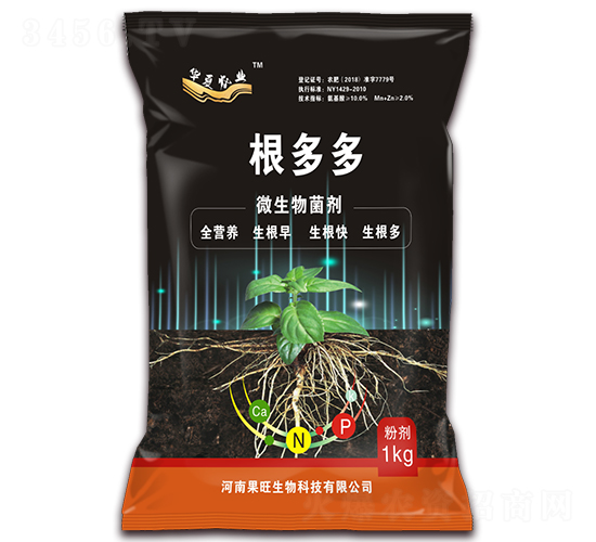 ΢�������-�����-��������