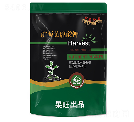 �VԴ�S�����-��������