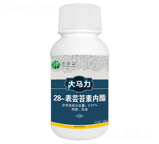 28-���|̦�؃�(n��i)��-���R��-�Z��ɭ