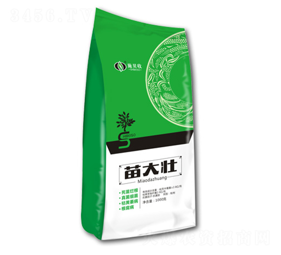 ����-ʩؐ��