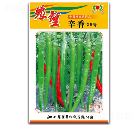 辛香29號(hào)-線椒種子-農(nóng)望