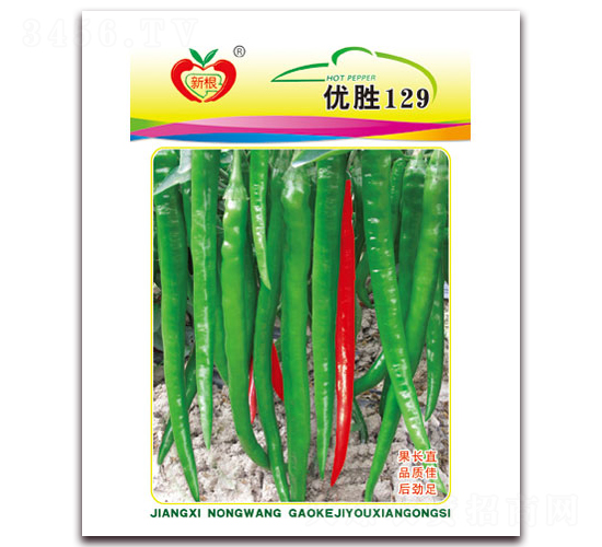優(yōu)勝129-線椒種子-農(nóng)望