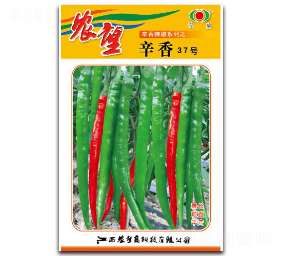 辛香37號(hào)-線(xiàn)椒種子-農(nóng)望
