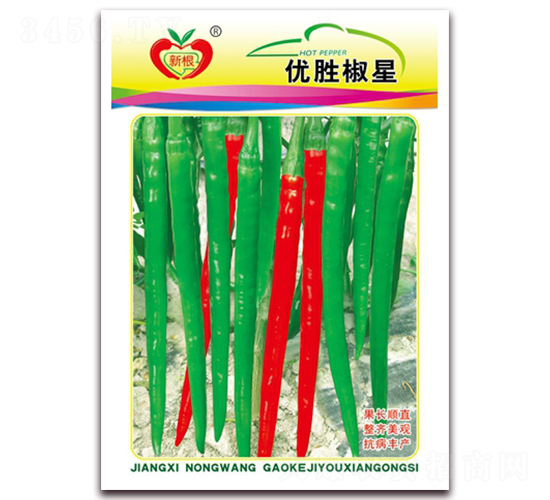優(yōu)勝椒星-線椒種子-農(nóng)望