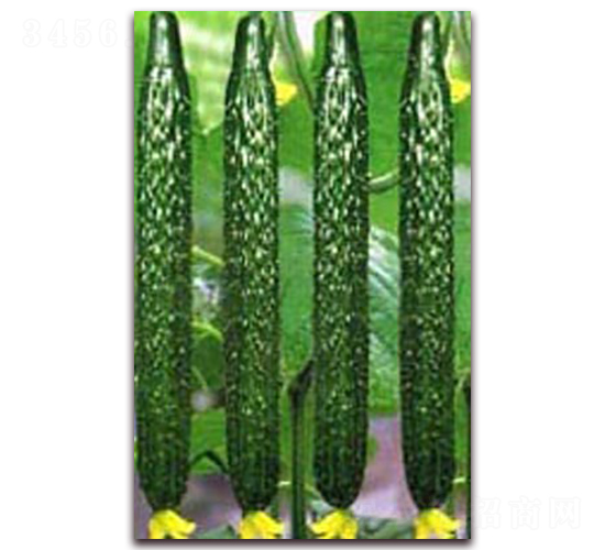 ֮��һ̖-�S�ϷN��-�r֮��