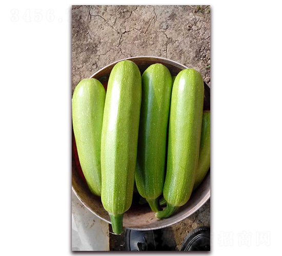 ����һ̖(h��o)-�����J�N��-�r(n��ng)֮��(r��n)