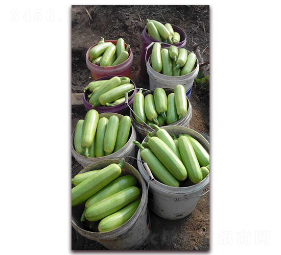 �r(n��ng)֮������һ̖�����J�N��