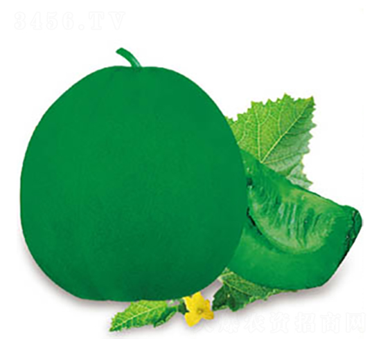 綠王-甜瓜種子-高端種業(yè)