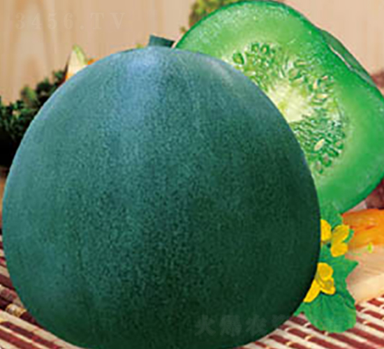 改良綠寶-甜瓜種子-高端種業(yè)