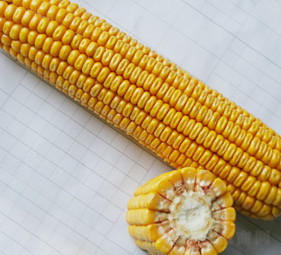 �н���1̖(h��o)-�s�����׷N��-�н��N�I(y��)