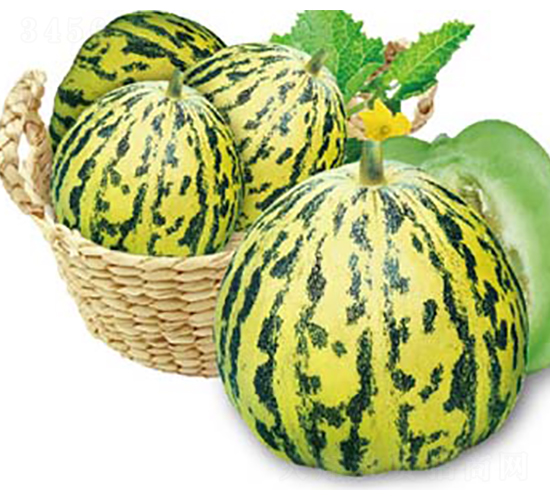 花冠-甜瓜種子-高端種業(yè)
